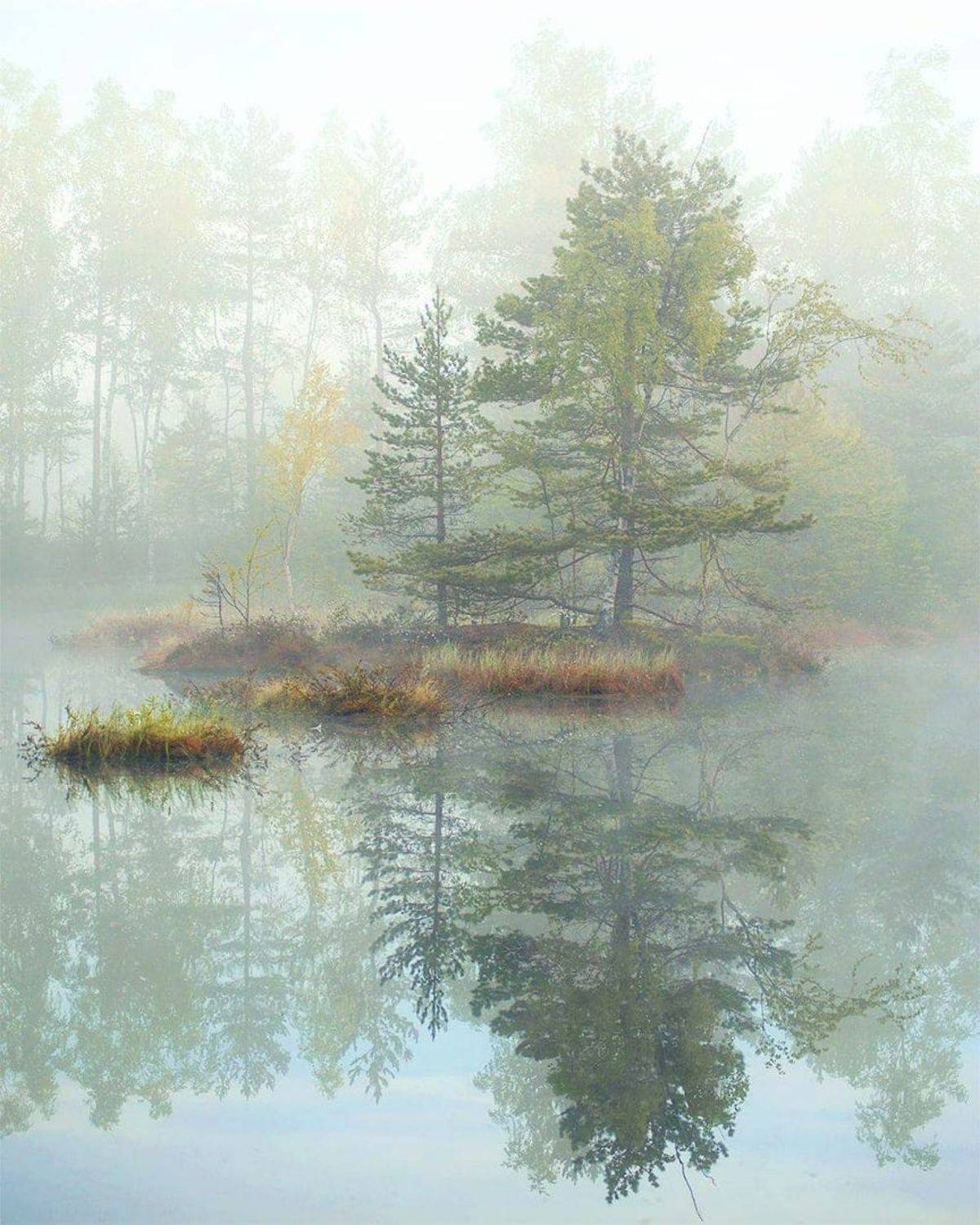 утро, туман, остров, Петр Косых