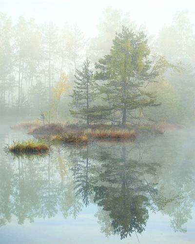 Утренняя магия