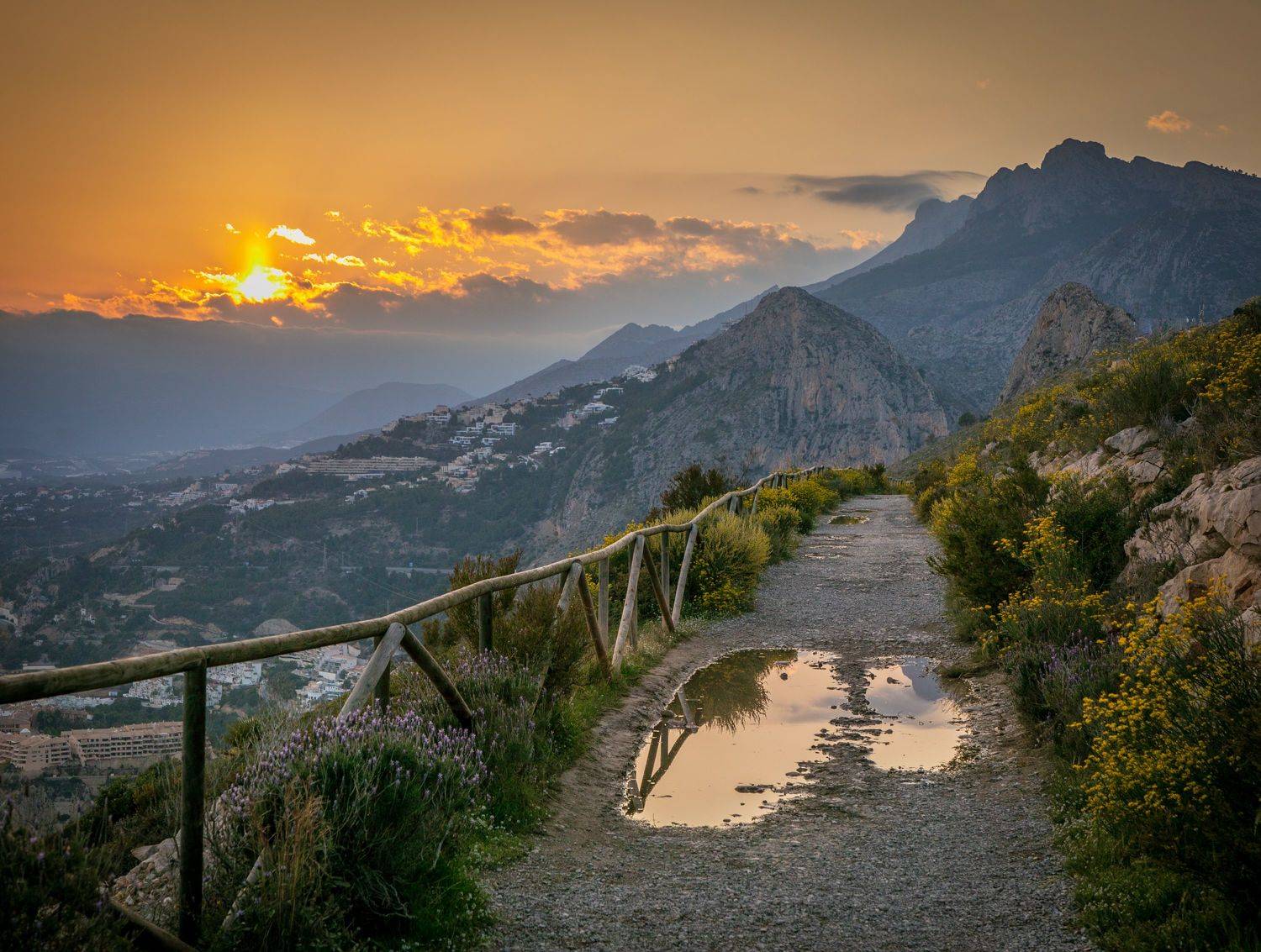 , Алекс Римский