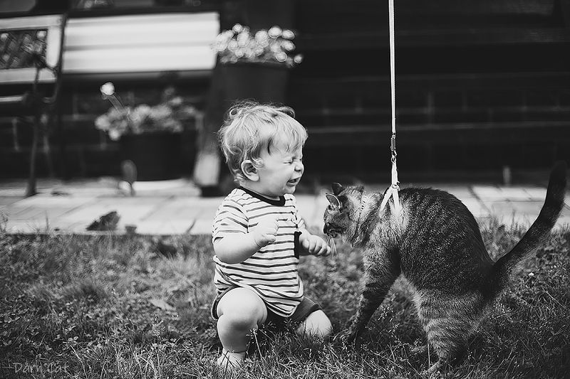 история, кошка, малыш, эмоции, черно-белое, настроение, лето, знакомство, вместе Федор и Боня. История любви фото превью