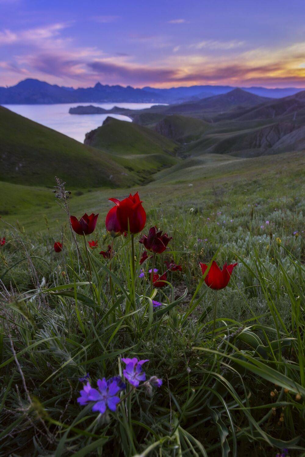 , Юлия Шумляева