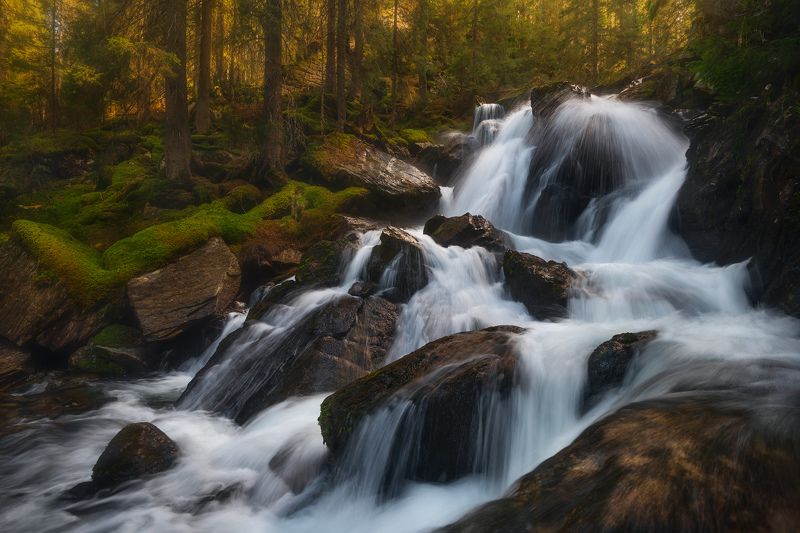 Gold rush фото превью