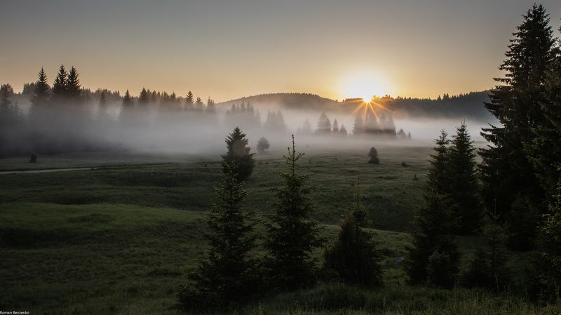 serbia, tara, fog, foggy, sunrise, landscape Foggy Morning фото превью