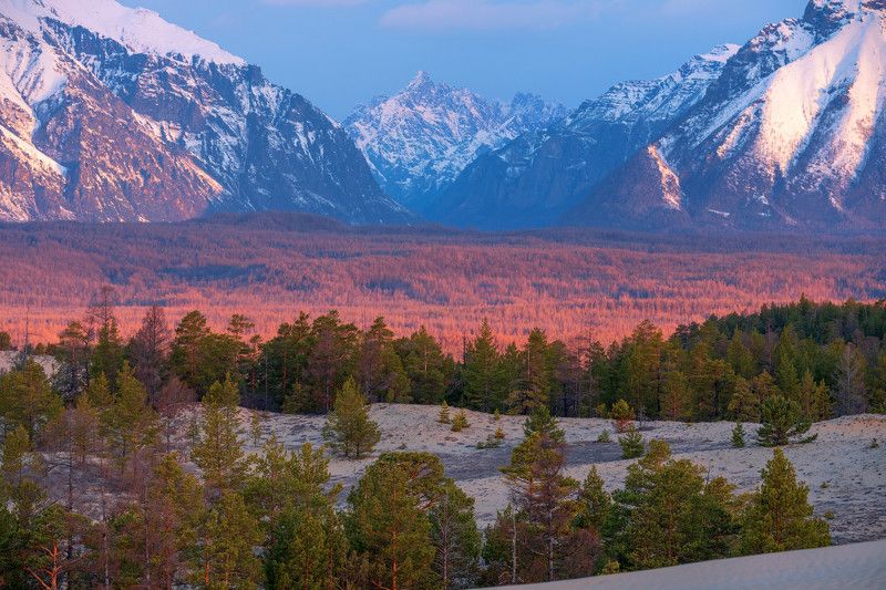 чарская пустыня,кодар,горы,забайкалье багряный лес фото превью
