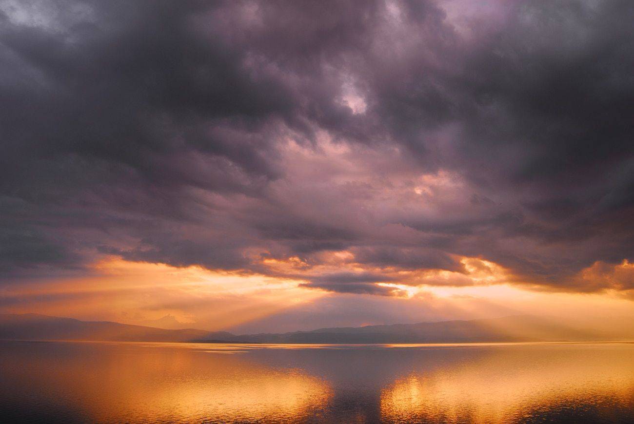 , David Solodar