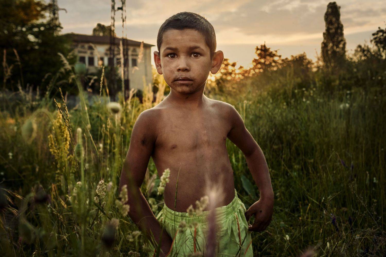 , Vladimir Karamazov