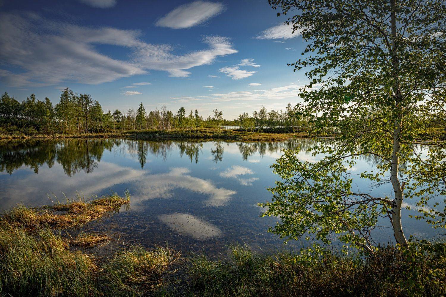 , Евгений Кужилев