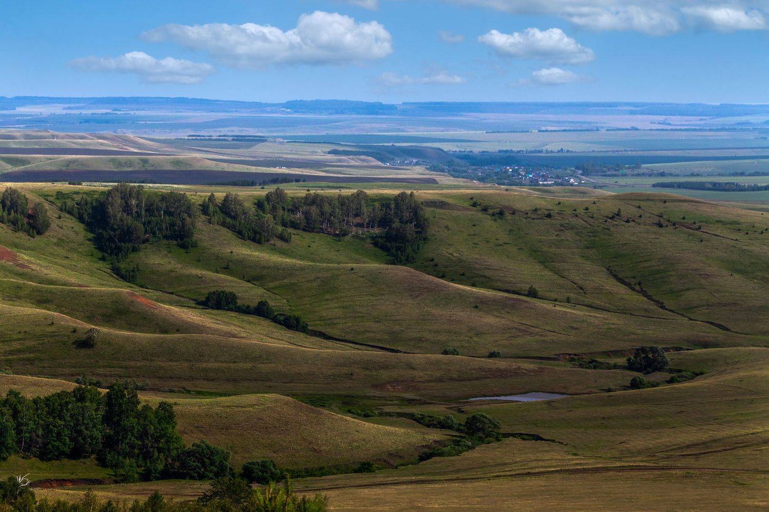 , Марат Кучкаев