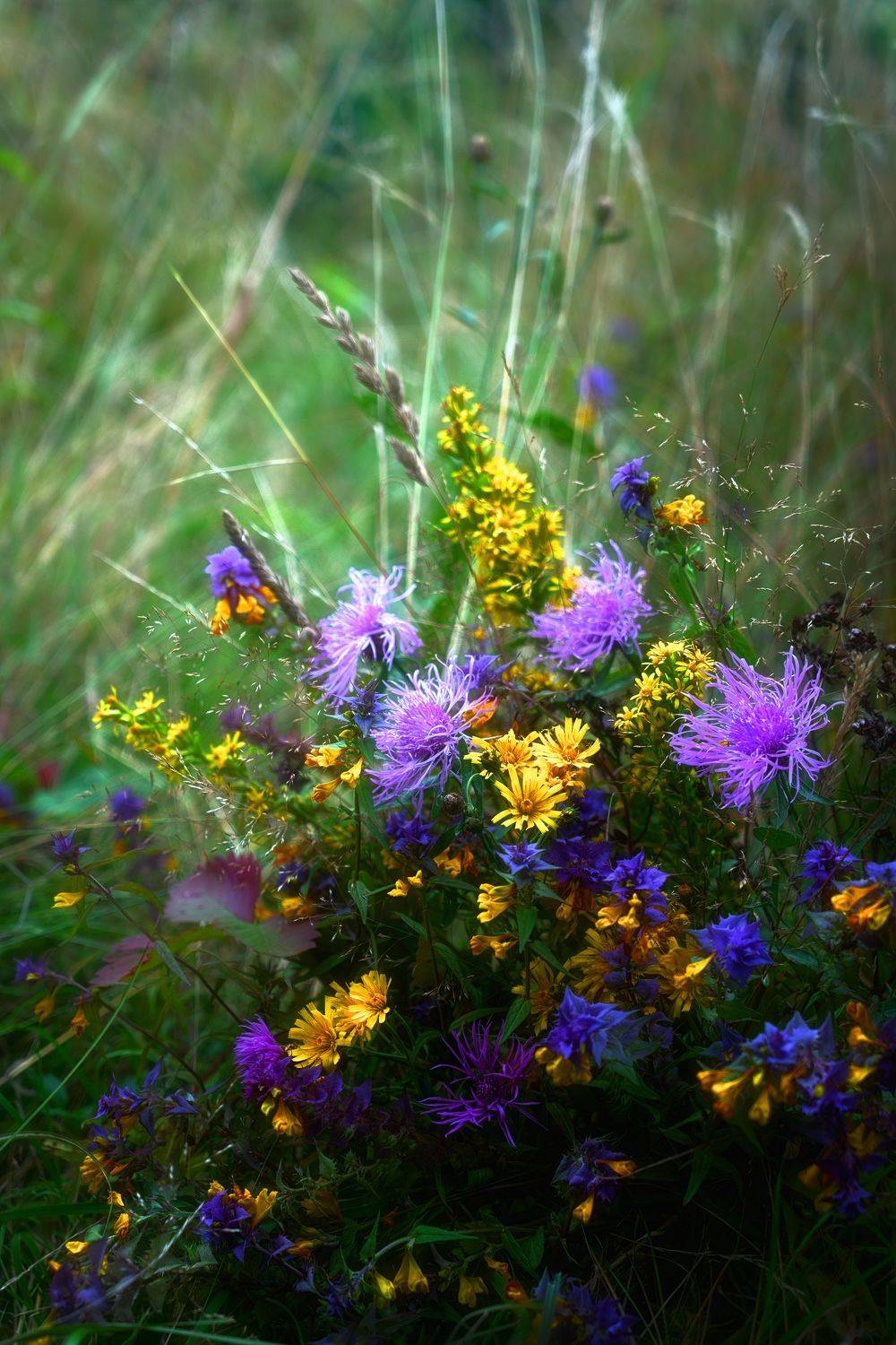 иван да марья, Татьяна Гореславец