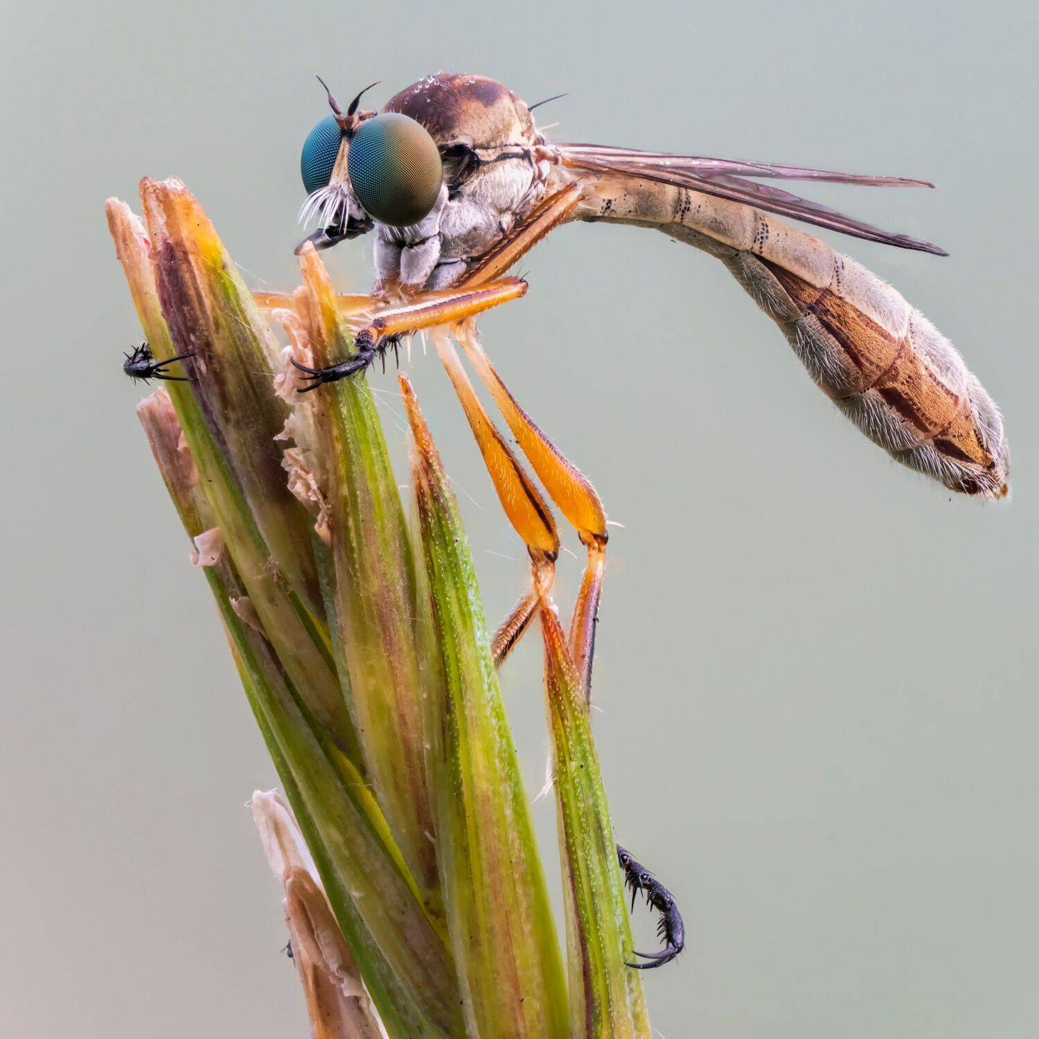 , Сергей Брагин