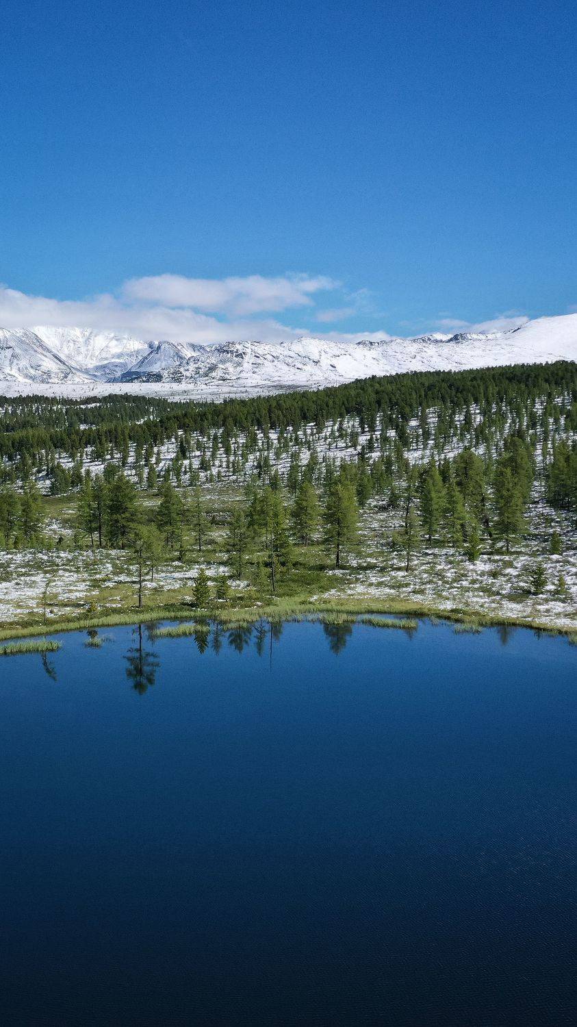 , Антон Мелёшкин