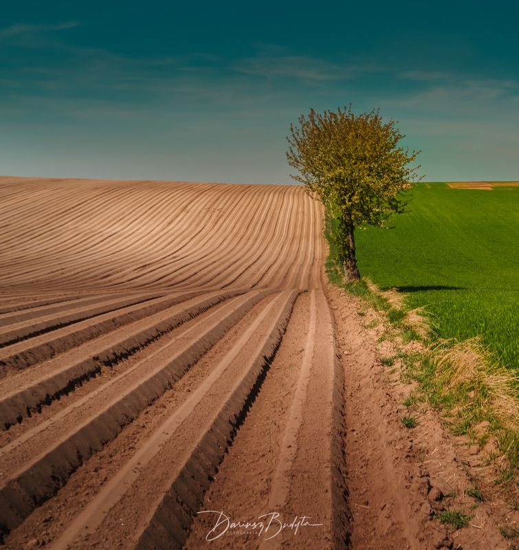 In between фото превью