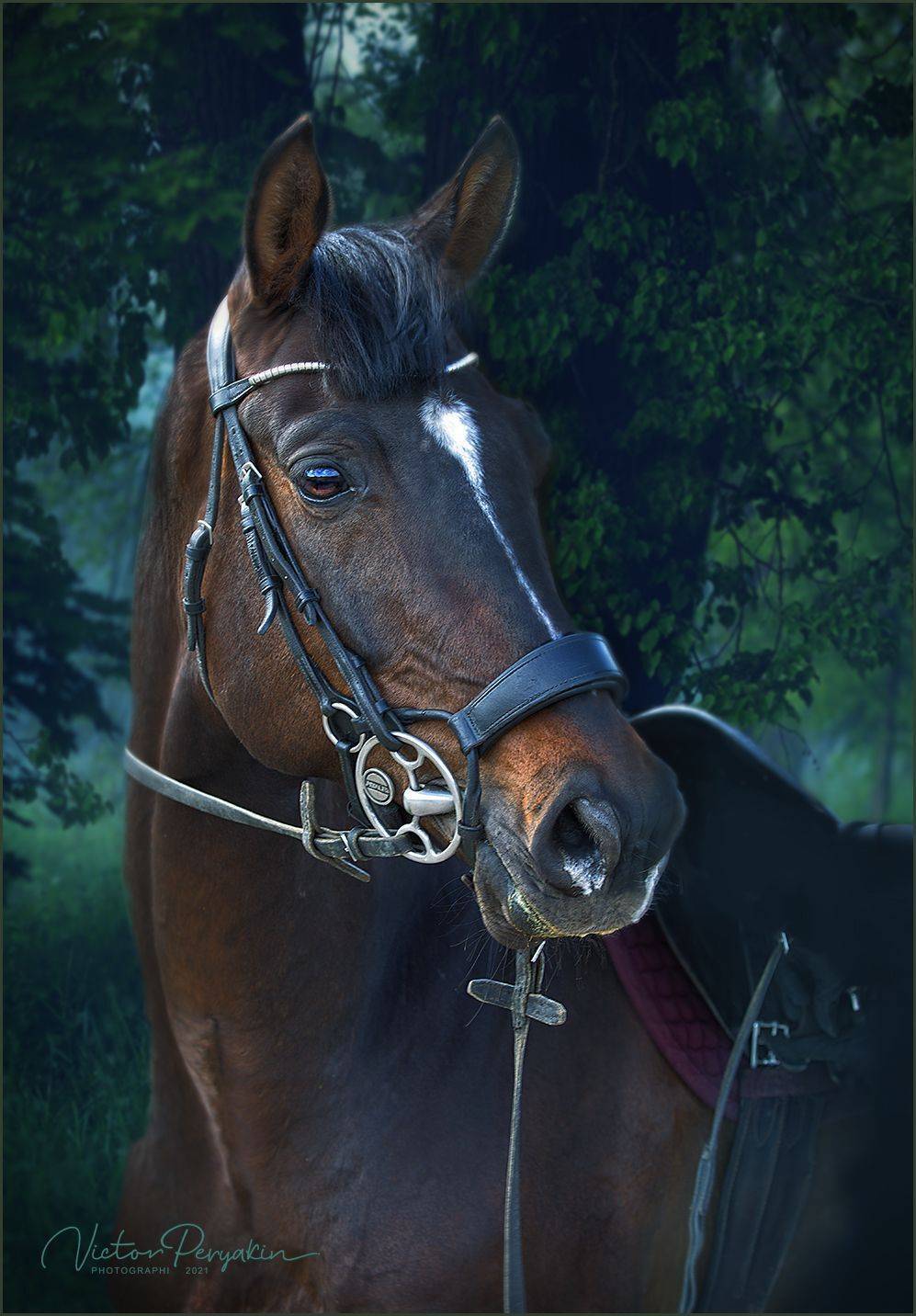 , Виктор Перякин