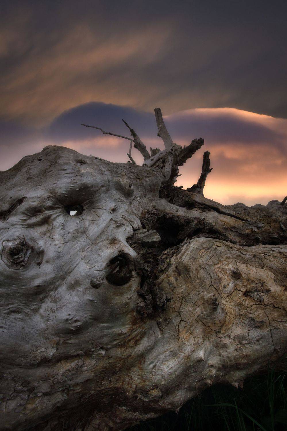 , Radoslav Sviretsov