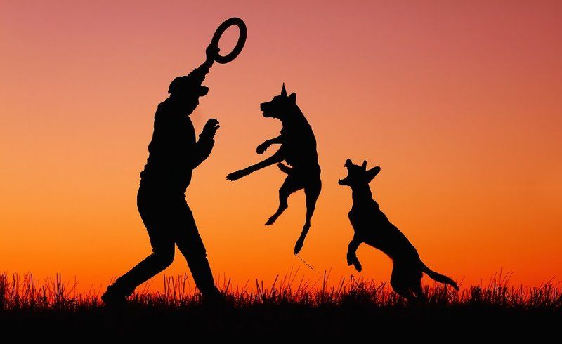 Игры на закате фото превью