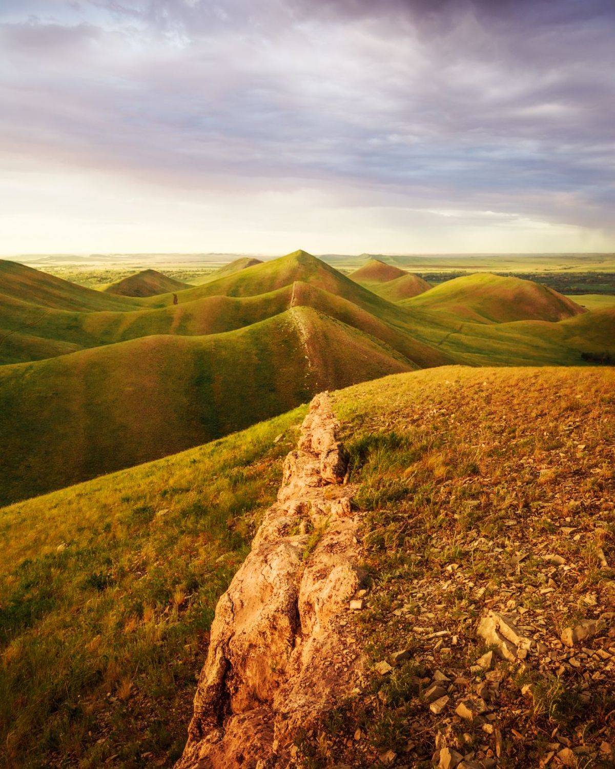 , Алексей Проняхин