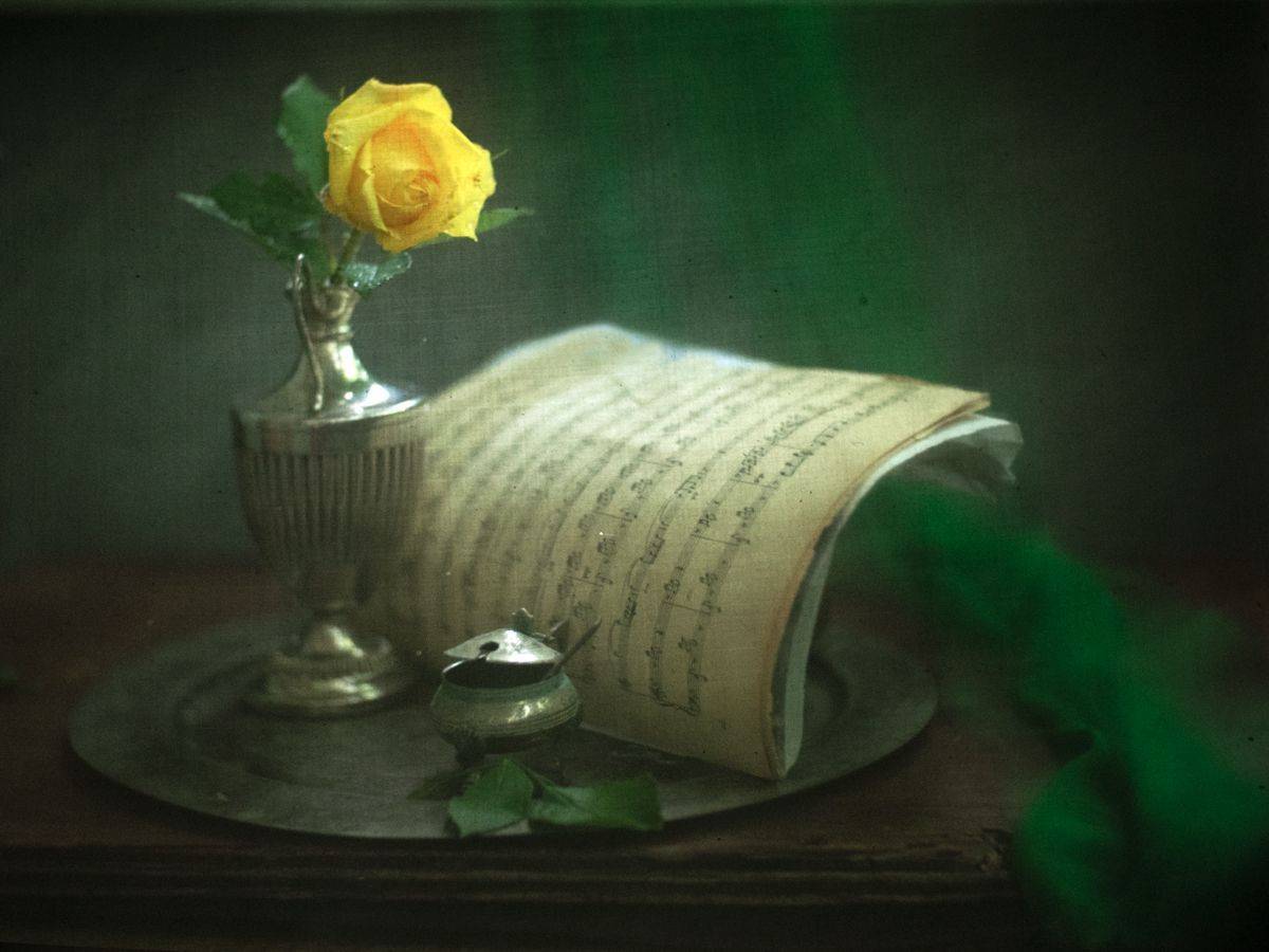 , Татьяна Аверина