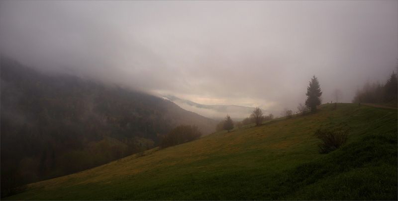 На Синевире снова туман фото превью