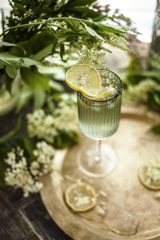 бузина фото превью