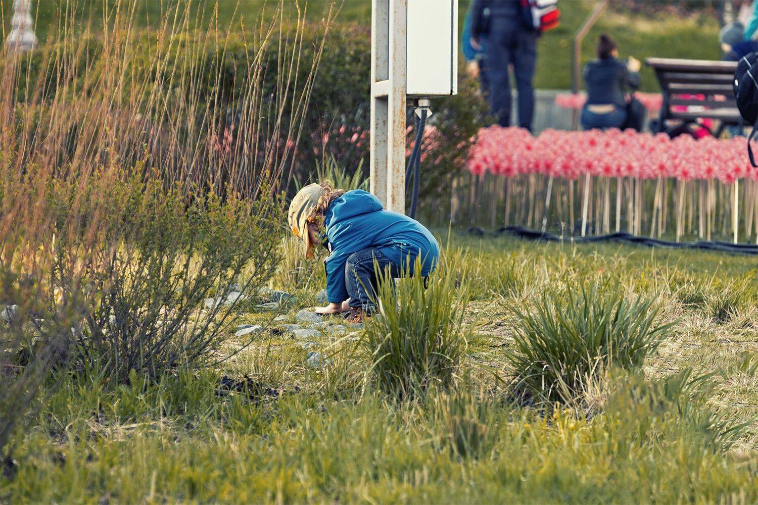 , Юрий Шурчков