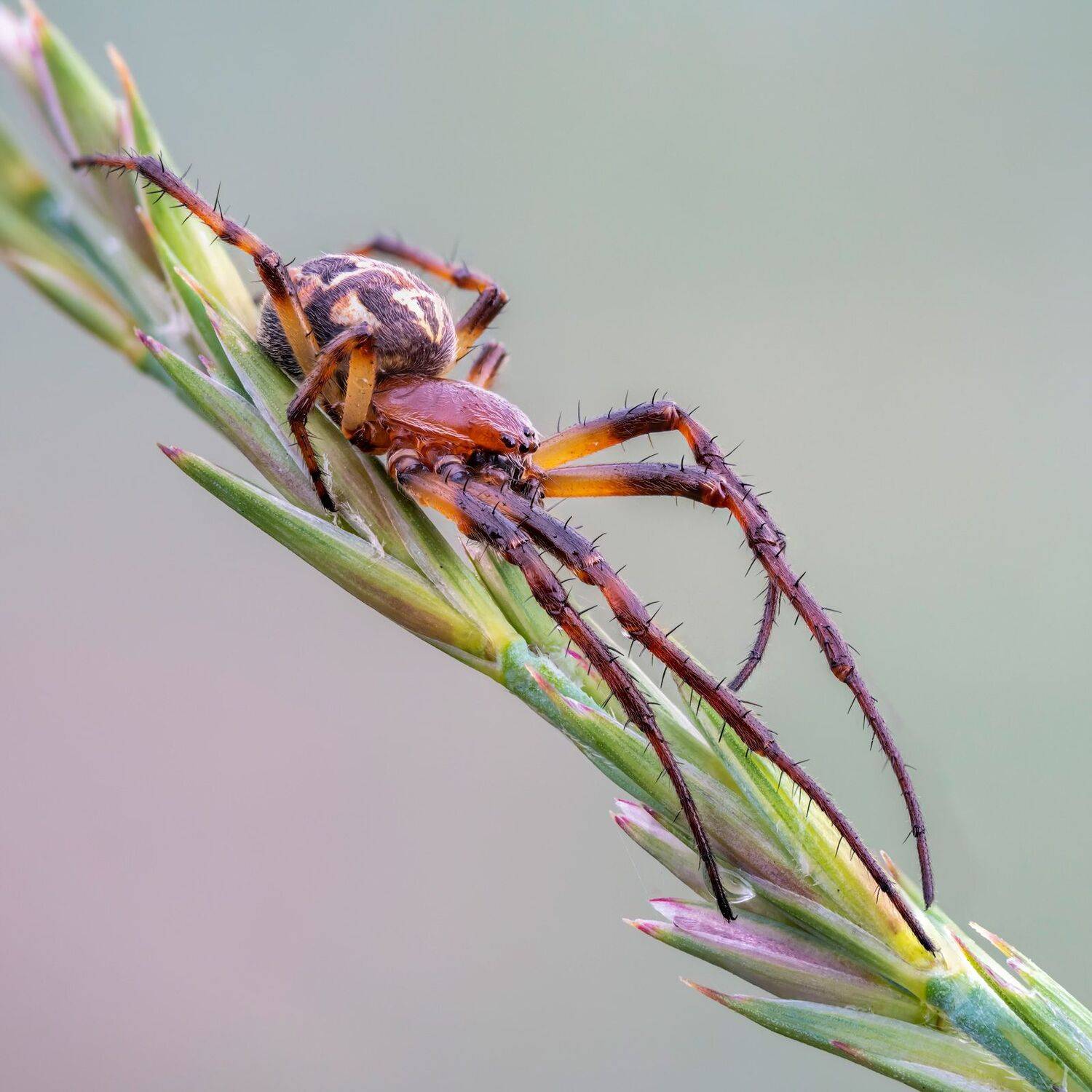 , Сергей Брагин