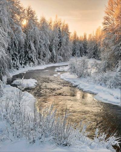Январский солнцепек