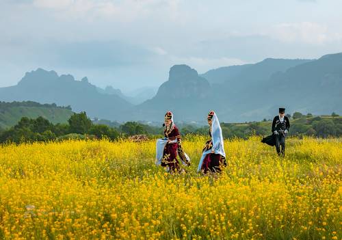 Цветущие луга детства!