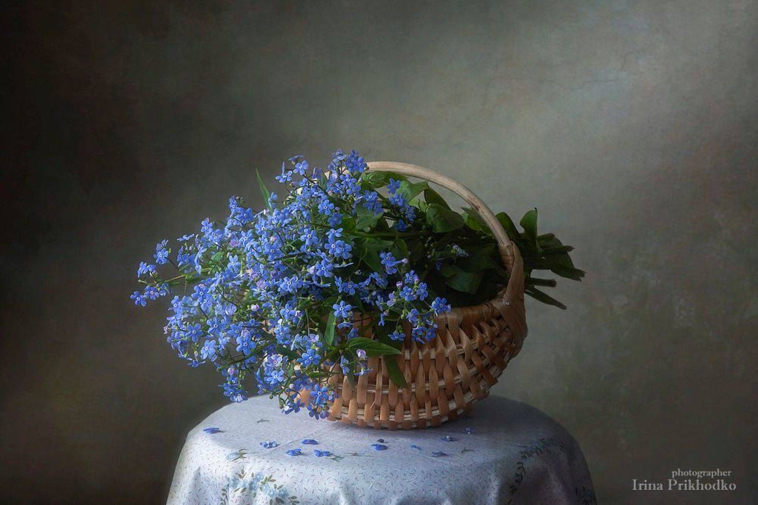 натюрморт, цветы, незабудки, корзина, Ирина Приходько