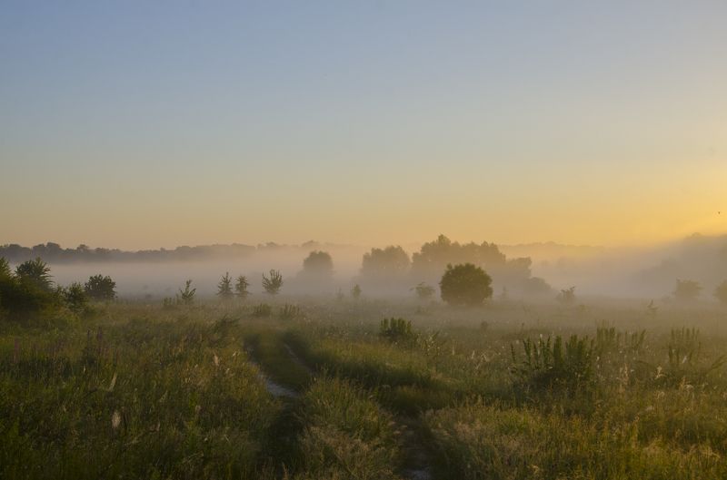 Утренний релакс фото превью