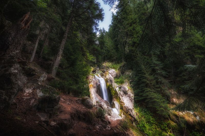 пейзаж, горы, кавказские горы, архыз, природа россии Свет в тёмном лесу фото превью