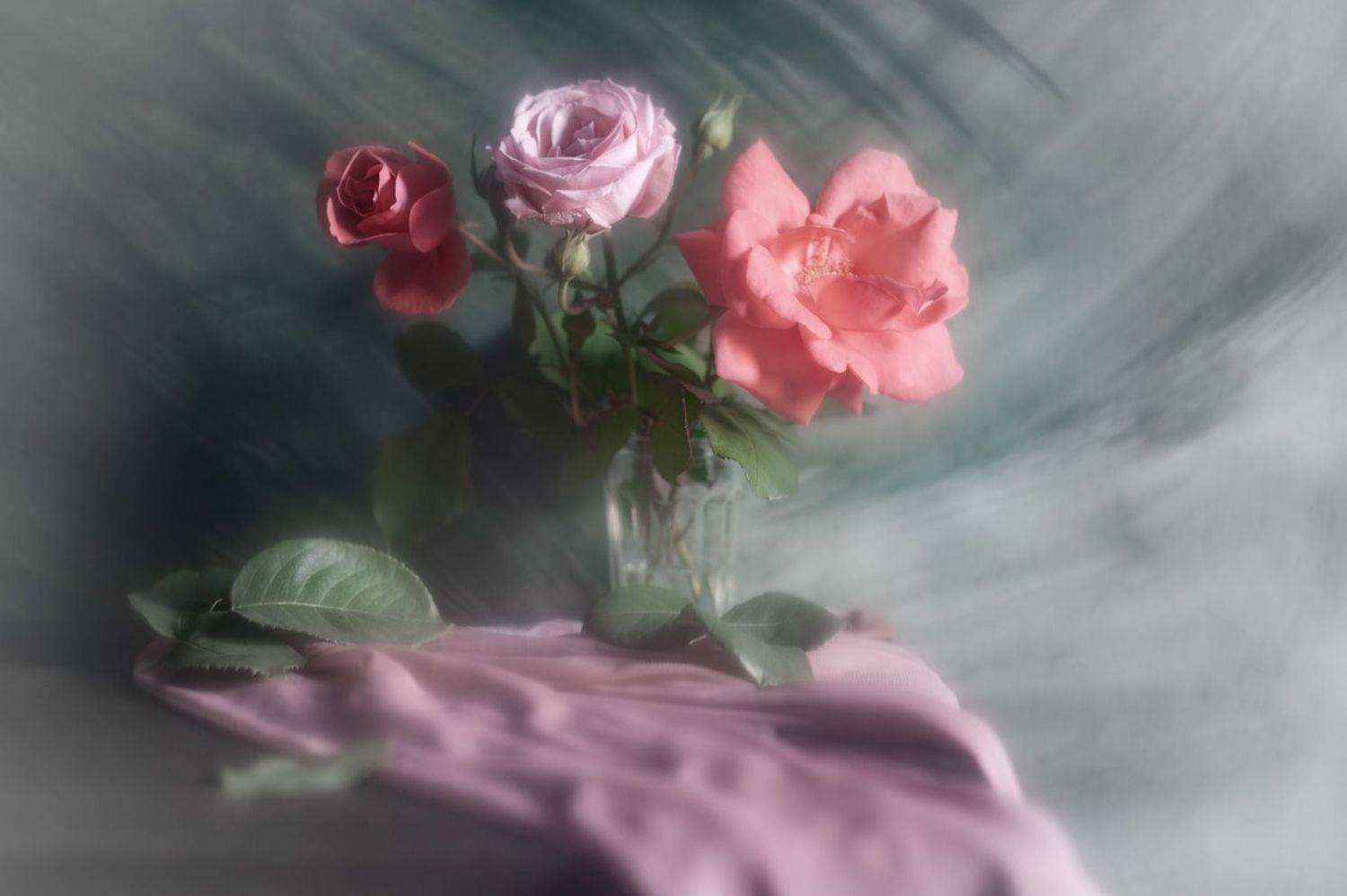 розы, Владимир Тузлай