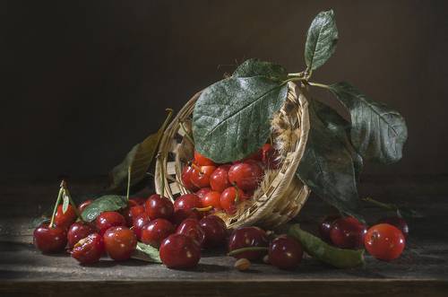 Вишнёвый день !