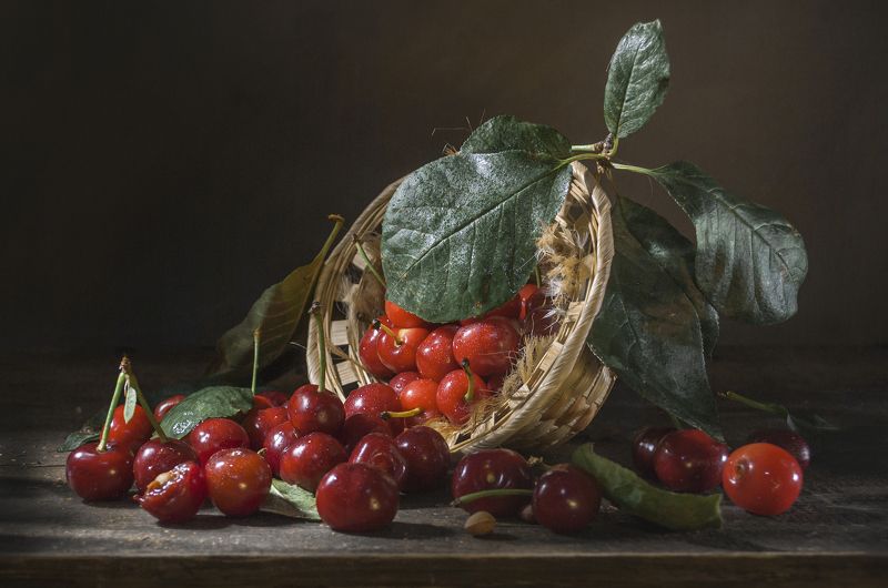 Вишнёвый день ! фото превью