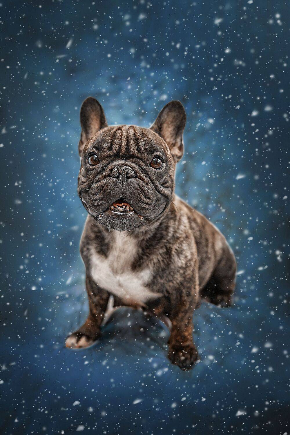 , Ксения Лысенкова