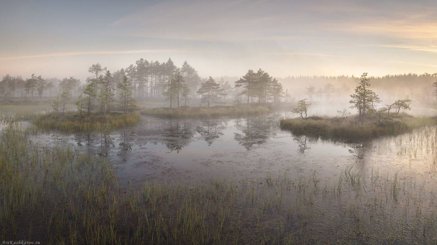 болото, ленобласть, фототур, туман, ленинградская область, восход, рассвет, болотные топи, Арсений Кашкаров