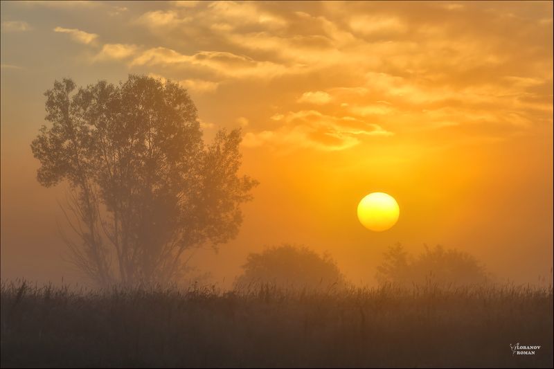 * * * фото превью