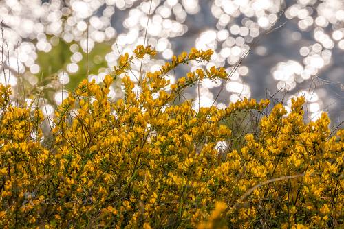Сокровенное в малом