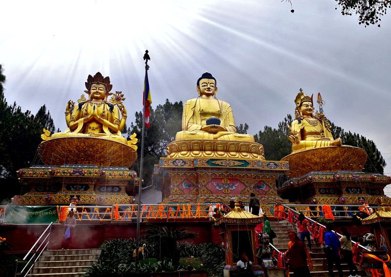 light of buddha фото превью