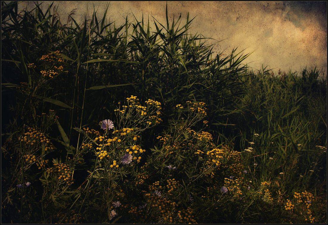 , Александр Хромеев