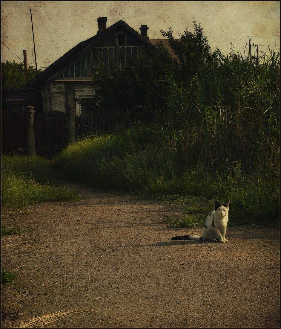 , Александр Хромеев