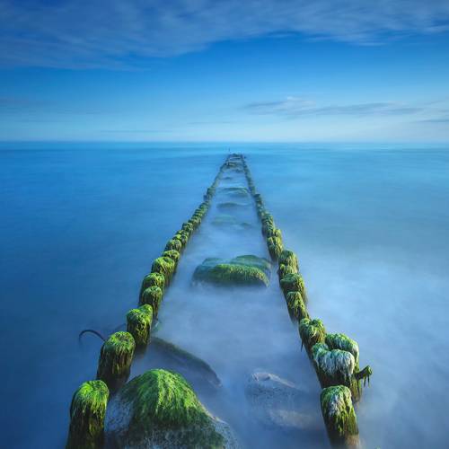 Deep Blue Sea...