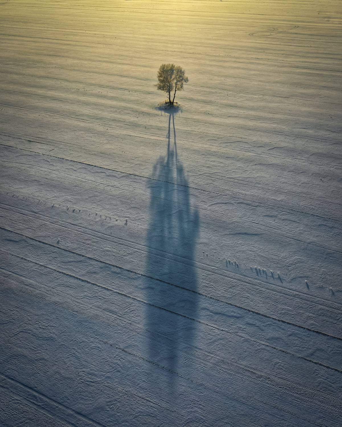 , Антон Мелёшкин