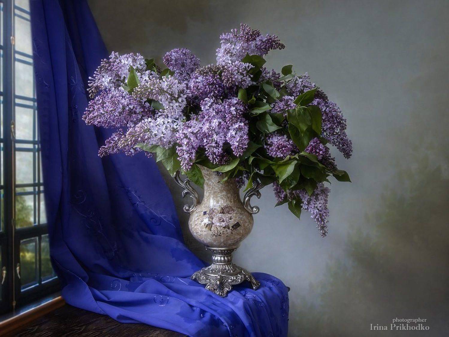 натюрморт, цветы, букеты, сирень, Ирина Приходько