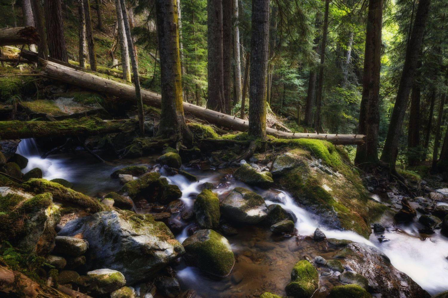 , ОЛЬГА КОВАЛЁВА