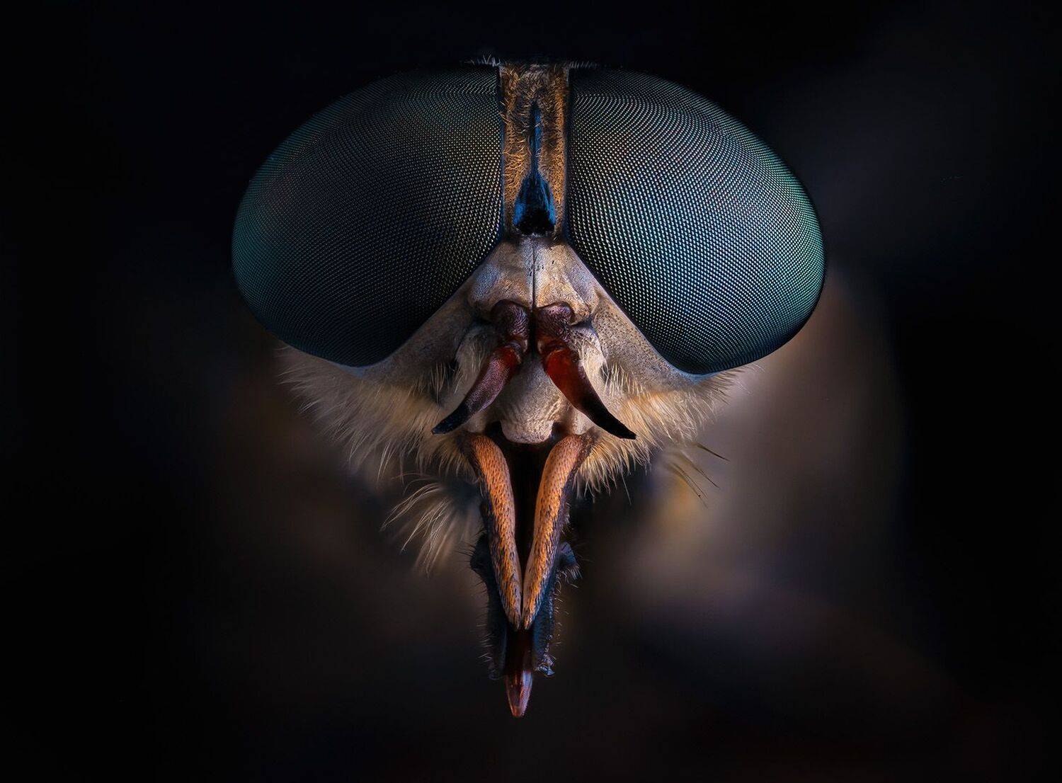 , Eugenijus Kavaliauskas