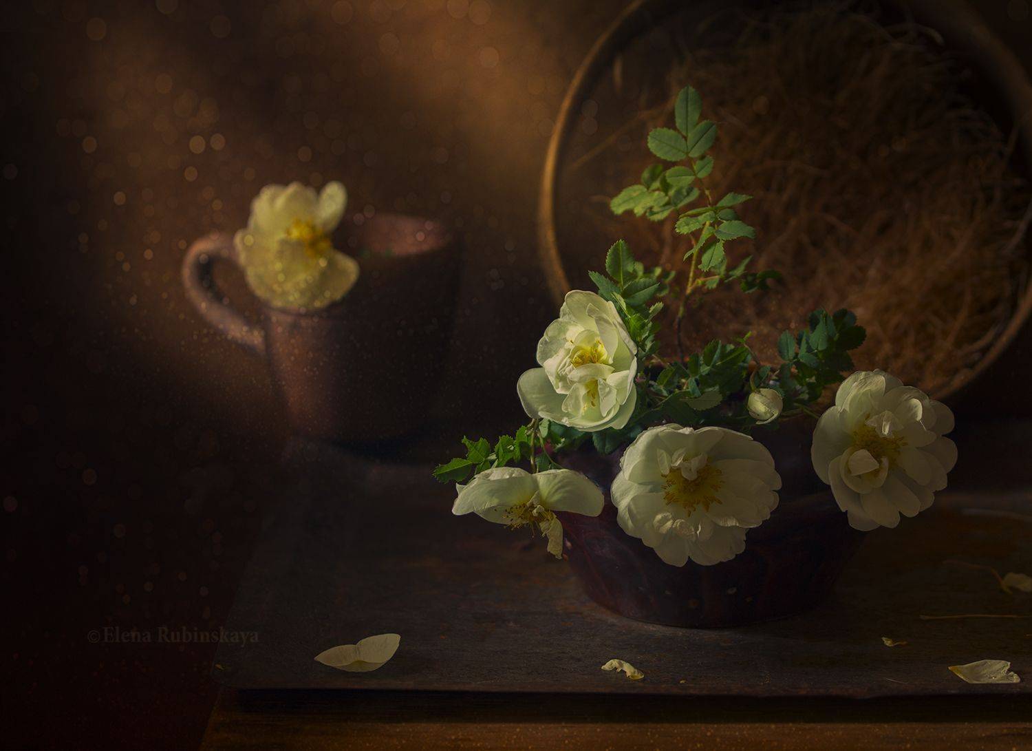 , Елена Рубинская