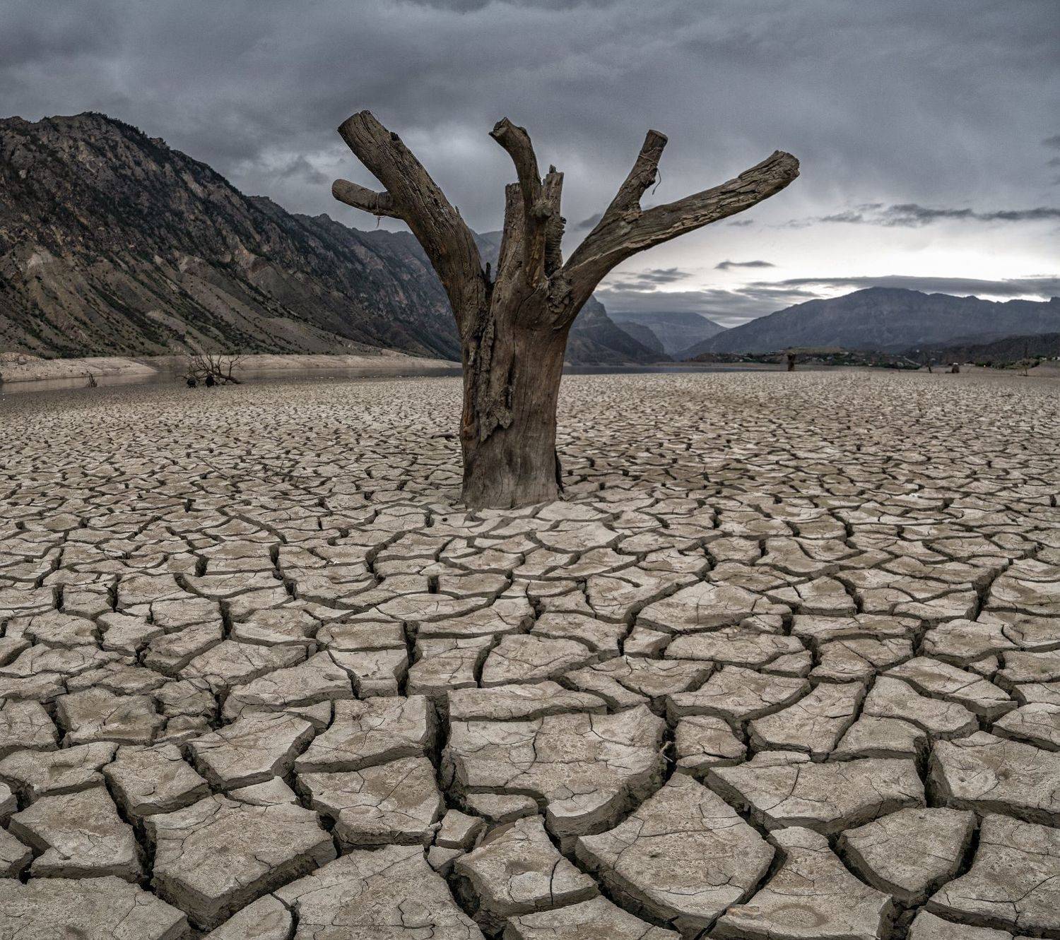 Дагестан, Виктор Пацар