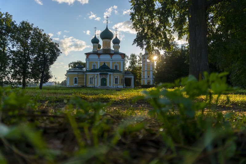 205 фото превью