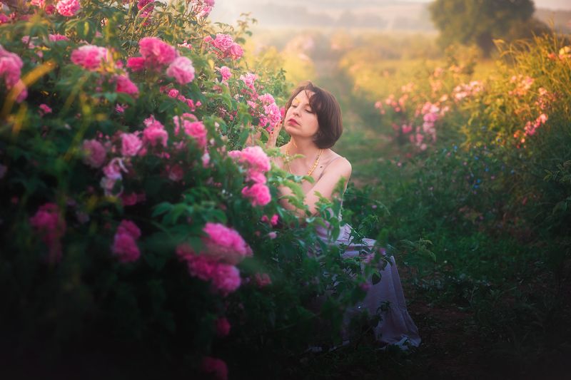 Розовый рассвет фото превью