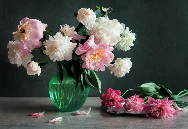 натюрморт, пионы, лето, цветы, капли Пионная летняя нежность фото превью